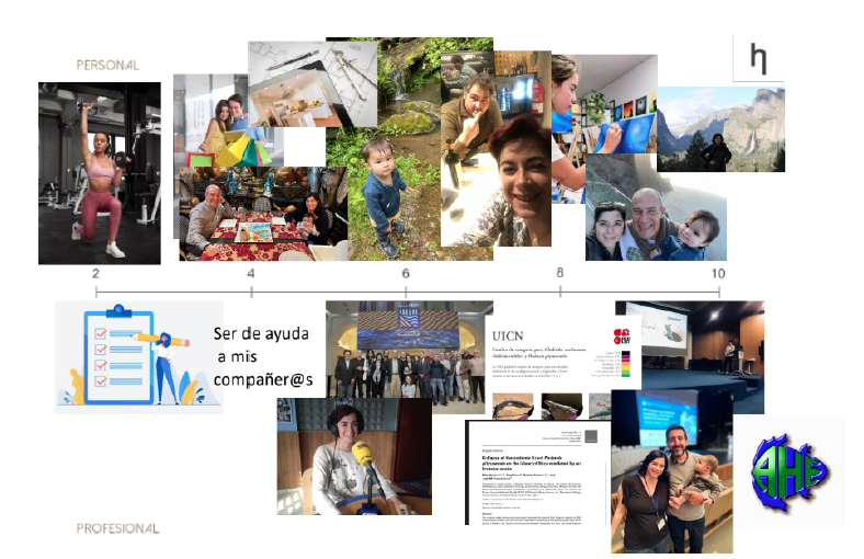 vision board online gratis
